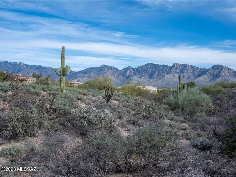 12565 N Vistoso View Place #-, Oro Valley, AZ 85755