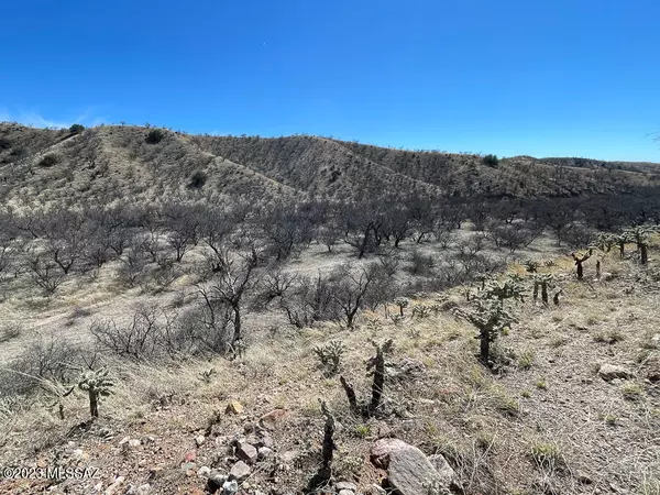 Rio Rico, AZ 85648,TBD Sonoita Creek Ranch Rd  #15