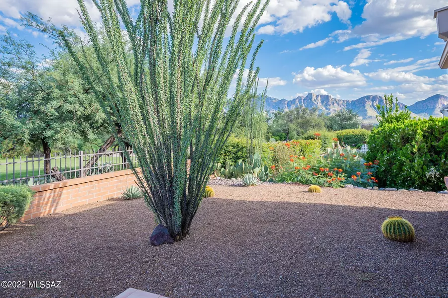 14450 N Chalk Creek Drive, Oro Valley, AZ 85755