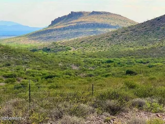 Perilla Mountain Ranch #86 37.64 Acres  #-, Douglas, AZ 85607