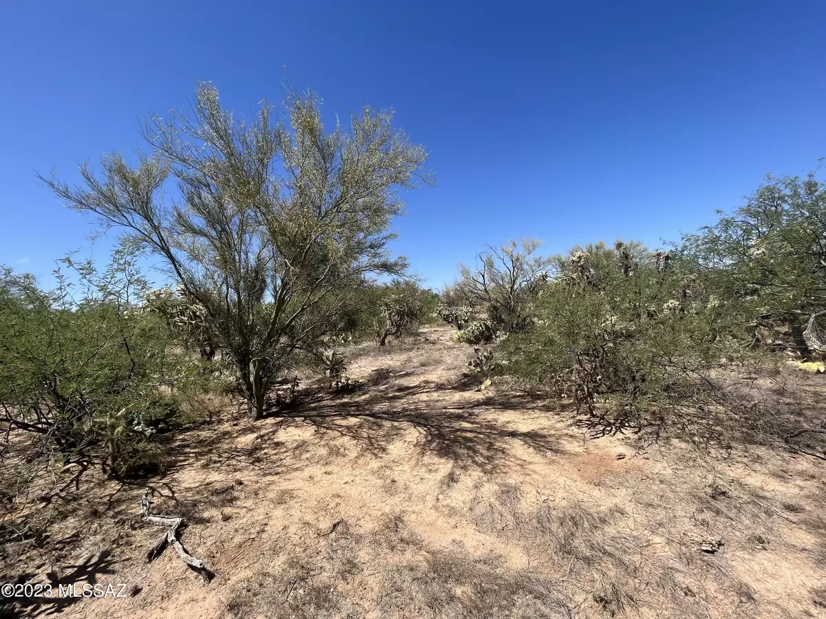 Tucson, AZ 85736,15091 W Many Horses Road #-