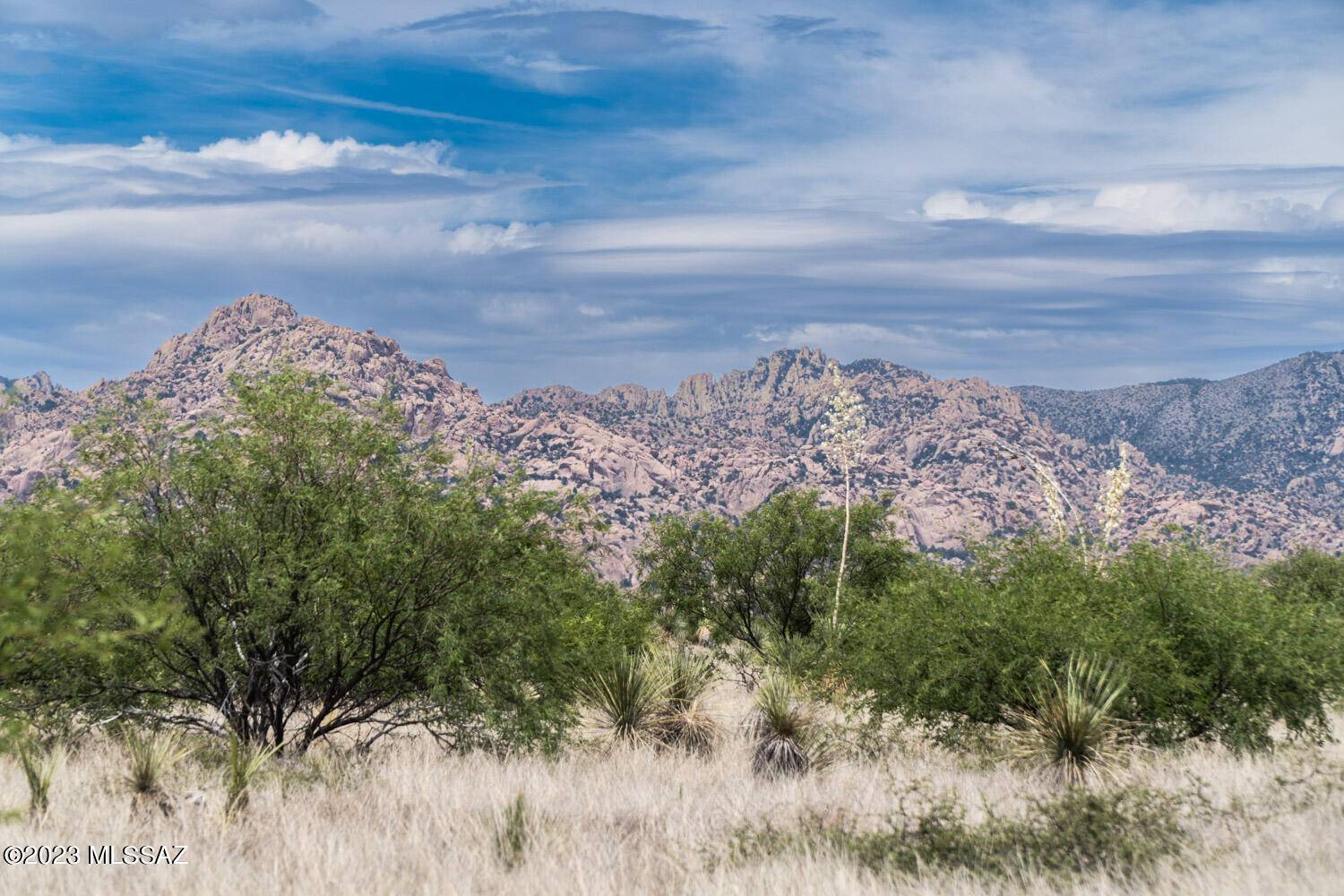 St. David, AZ 85630,36.33 Acre E Tom Jeffords Drive  #66