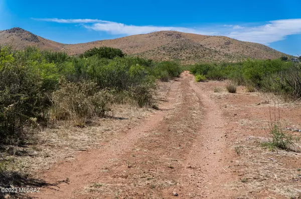 Pearce, AZ 85625,40 Acres S Rustic Trail  #138