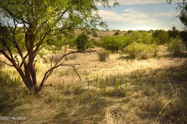 202 Tanglehead Lane #Lot 22, Patagonia, AZ 85624