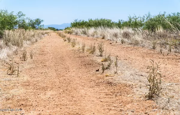 Pearce, AZ 85625,1.66 Acres E Irene St  #9&10