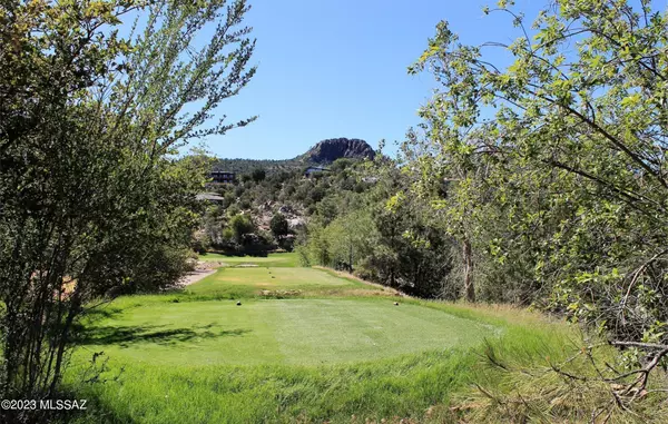 Prescott, AZ 86303,535 Lodge Trail Circle #20