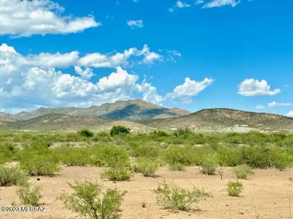 Douglas, AZ 85607,Silver Creek Ranch Lot 59  #59