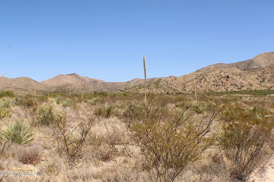 E Diamondback Road #LOT 212, St. David, AZ 85630