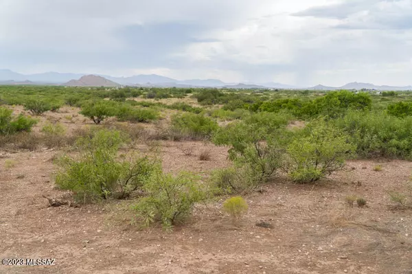 Pearce, AZ 85625,40 Acres S Gunsight Trail  #126