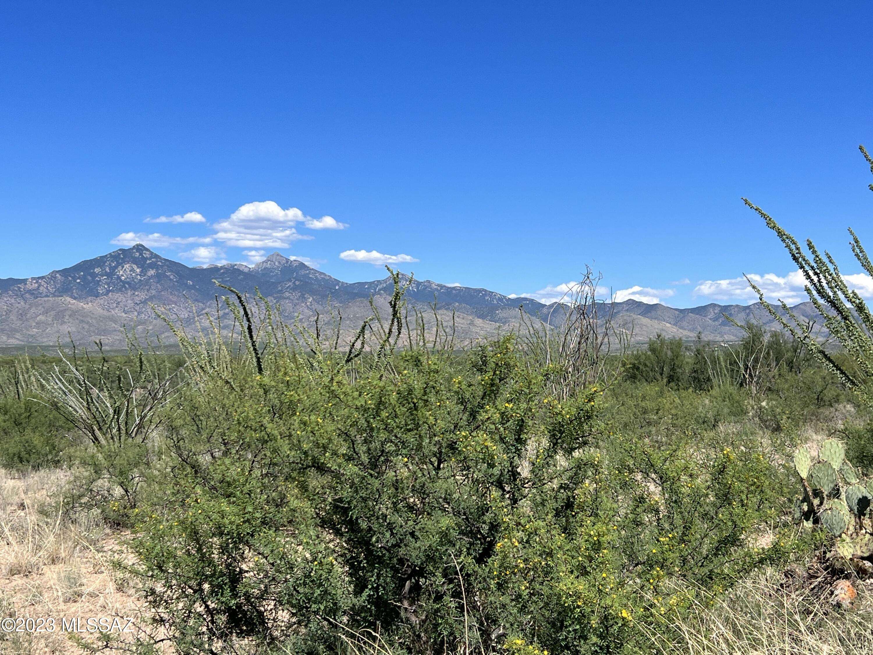 Tubac, AZ 85646,TBD Camino Nacozari  #70