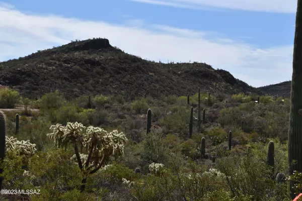 Yuma Mine Road, Tucson, AZ 85743