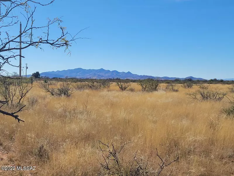 30 Acres S Carla Drive #0, Pearce, AZ 85625