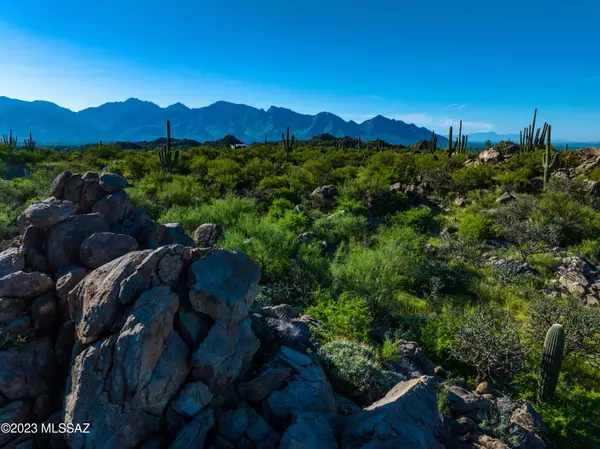 Oro Valley, AZ 85755,14950 N Slippery Ridge Loop #Lot 417