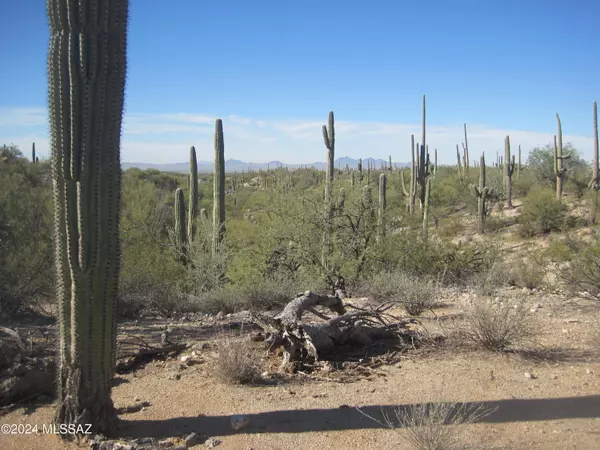 Marana, AZ 85658,XX Derrio & Muledeer