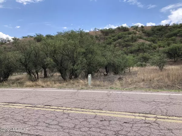 Rio Rico, AZ 85648,950 Camino Caralampi  #16