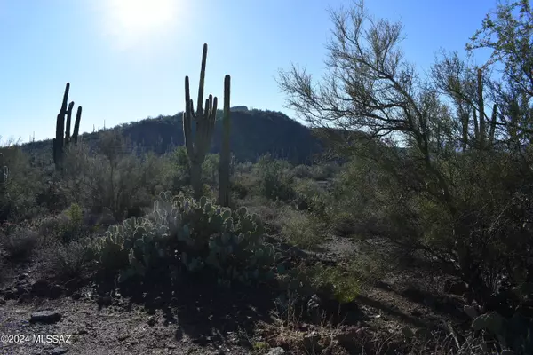 Tucson, AZ 85743,6396 N Yuma Mine Road