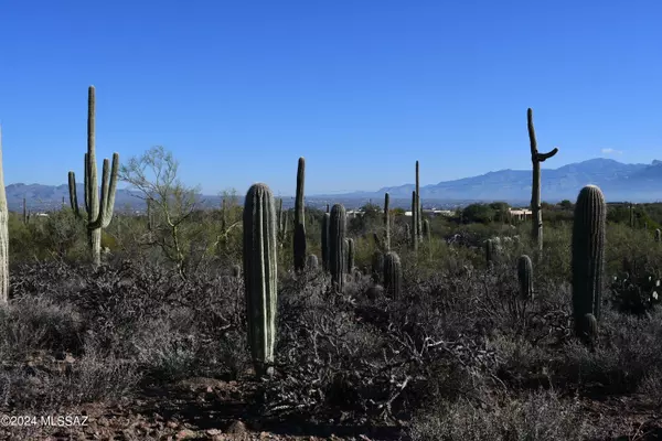 Tucson, AZ 85743,6396 N Yuma Mine Road