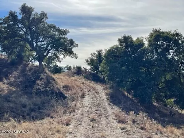 Sonoita, AZ 85637,00 Sierra Grande Ranch Road #2