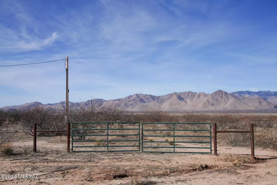 40.74 Acre N Dill Road #302, Portal, AZ 85632