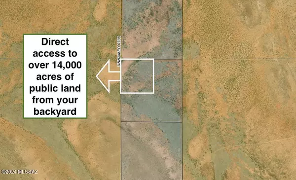 Douglas, AZ 85607,10 Acres N Shanahan Parkway #1