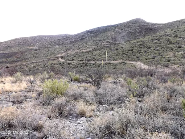 Bisbee, AZ 85603,Lot 2 W Red Mountain Road