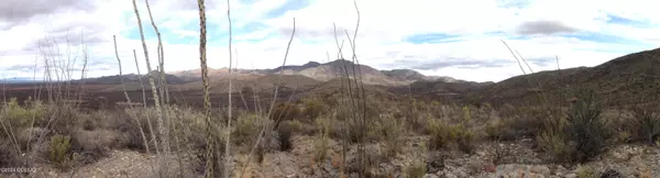 Bisbee, AZ 85603,Lot 2 W Red Mountain Road