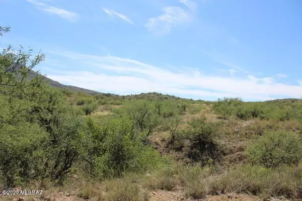 Tubac, AZ 85646,TBD Grosvenor Rd  #91