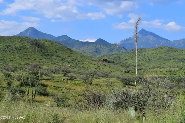 Tubac, AZ 85646,TBD Poorwill Canyon Road #31/1