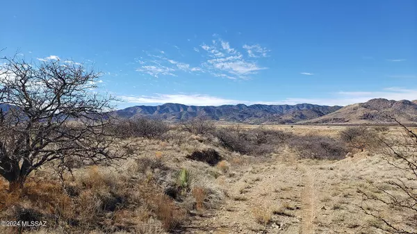 Pearce, AZ 85625,2 Acres S Middlemarch Road #10