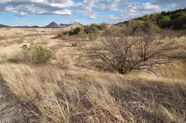 Lot  D(1) Stevens Canyon Road #1,  Patagonia,  AZ 85624