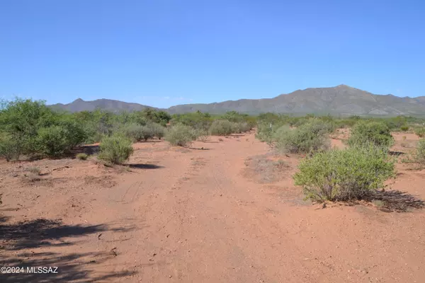 Bisbee, AZ 85603,6.18 Easy Acres  #-