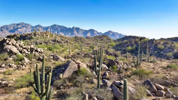 Oro Valley, AZ 85755,1481 W Tortolita Mountain Circle #Lot 281