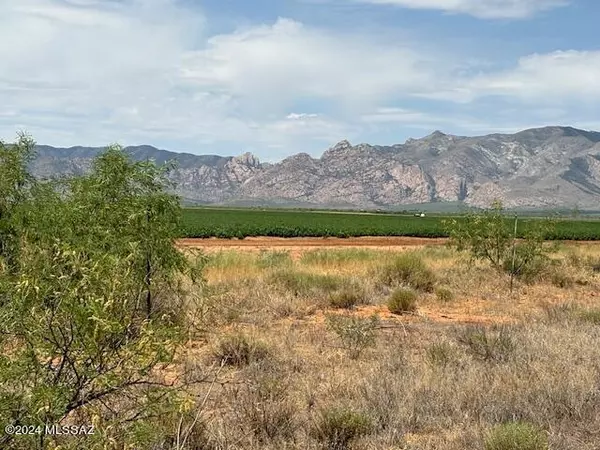 Cochise, AZ 85606,LOT A E Horse Country Road #A