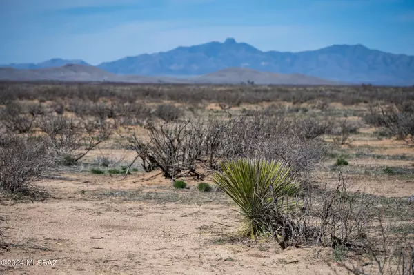 Pearce, AZ 85625,5 Acres Catclaw Road #6