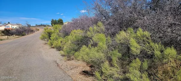 Tombstone, AZ 85638,Lot 276 N Saddleback Circle