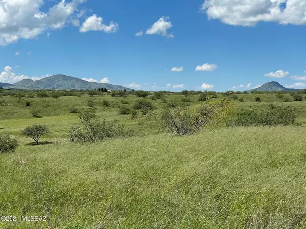 Sonoita, AZ 85637,TBD Wild Antelope  #11