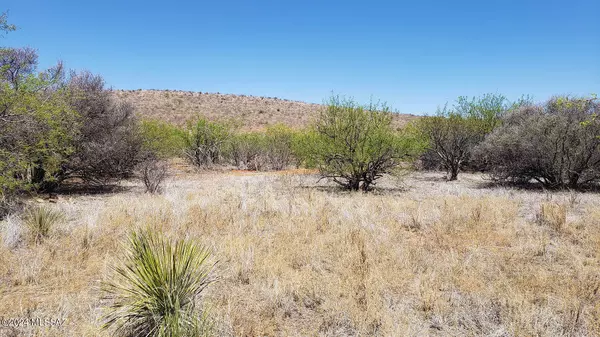 Pearce, AZ 85625,5.17 AC Rock Road #133