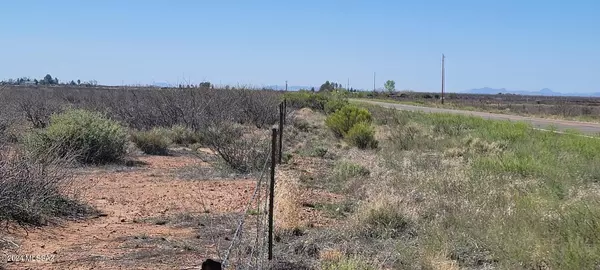 Elfrida, AZ 85610,324 Acres Hwy 191