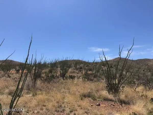 Vail, AZ 85641,10572 E Ocotillo Rim Trail #7