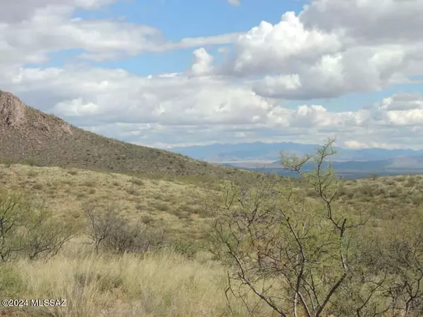 38 +/- ACRE on Rambling Road #-, Elfrida, AZ 85610