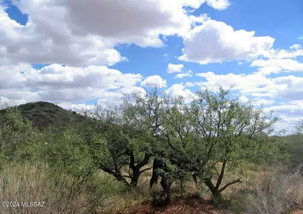 Elfrida, AZ 85610,39 +/- ACRE on Rambling Road #100