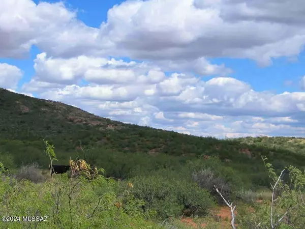 Elfrida, AZ 85610,77 +/- ACRE on Rambling Road #-