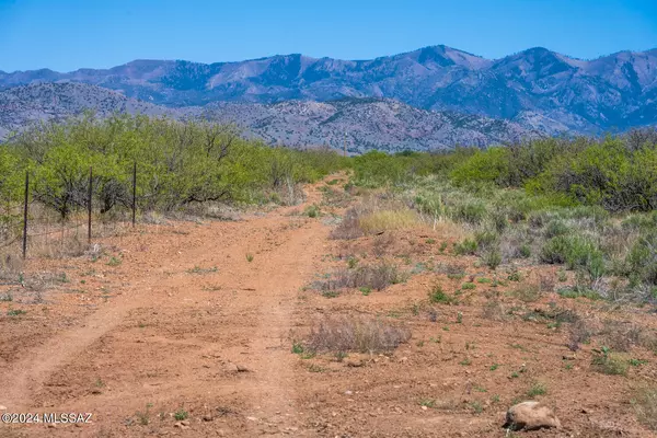 Pearce, AZ 85625,40 Acres E Carolyn Fraser Lane #-