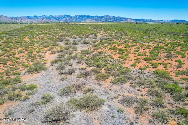 Pearce, AZ 85625,40 Acres E Carolyn Fraser Lane #-