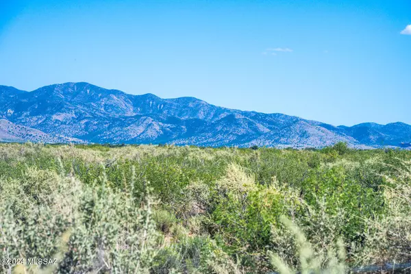 40 Acres Price Ranch Road #-, Pearce, AZ 85625