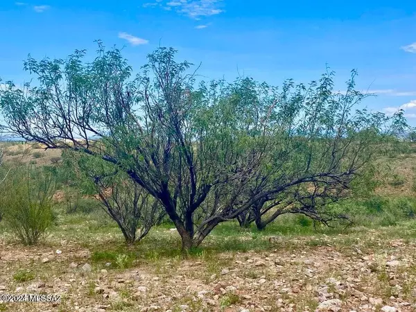 Huachuca City, AZ 85616,TBD Lonely Dove Pl 8.23 Acres