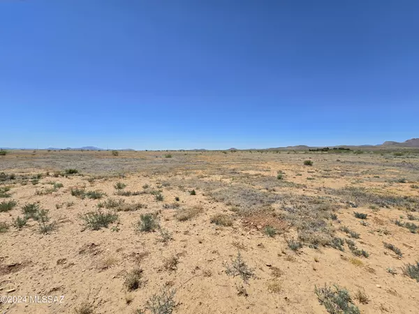 Willcox, AZ 85643,20 Acres E Parker Ranch Road