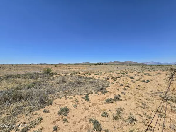 Willcox, AZ 85643,20 Acres E Parker Ranch Road