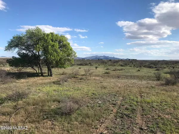 Pearce, AZ 85625,TBD 10A Walnut Trl  #0