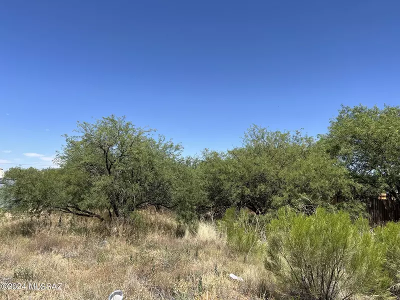 .19 acres N Ruth Rd  #123, Benson, AZ 85602